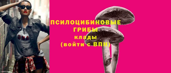 MESCALINE Аркадак