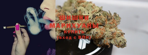 эйфоретик Арсеньев