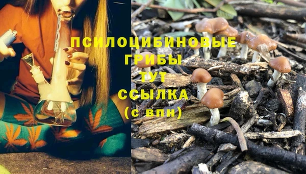 соль ск Алексеевка