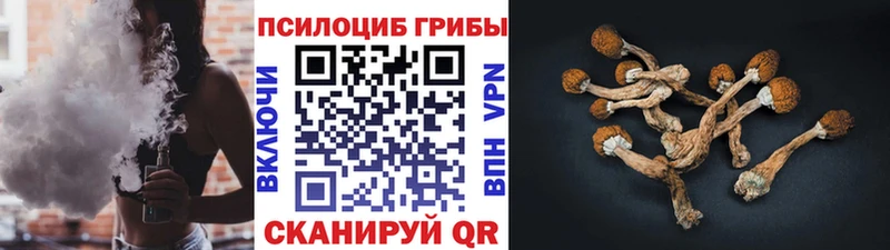 Псилоцибиновые грибы Psilocybine cubensis  купить наркотики цена  Армянск 